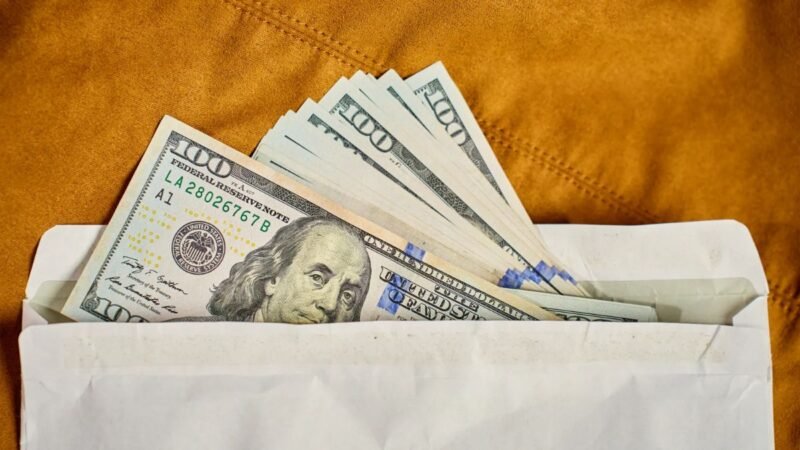 $725 Guaranteed Income Program Approved: Impact and Benefits for U.S. Families